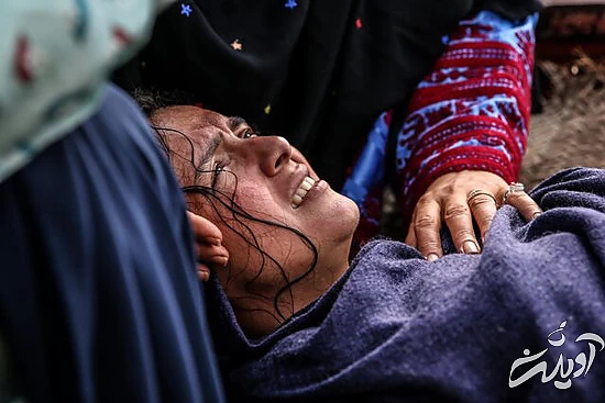 نوید و ترانه با جشنواره فجر قهر کرده‌اند؟